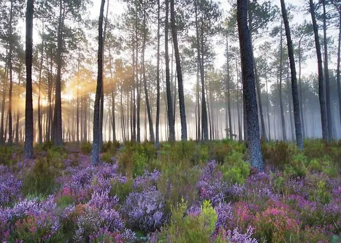 Maison Solyselva Piscine- Proche Océan- Climatisée Saubion